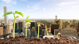 Call for papers: Urban food security Collection