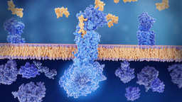 Call for papers: Membrane transporters, from molecular mechanisms to drug discovery Collection