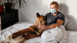 Call for papers: Zoonotic diseases transmitted by household pets Collection