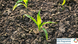 Call for papers: Disease resistance in plants Collection