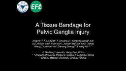 Designed a tissue-like bandage for major pelvic nerve injury