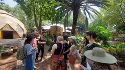 🌟 LiA 2025: Immerse Yourself in Mexico, Colombia or France with make_sense