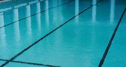 Quarterly Highlights from the Medicine and Life Sciences Research Communities 