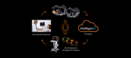 IntelligynAI-FS: Clinical Feasibility of AI Support in Ultrasound Assessment of Ovarian Tumors