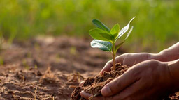 Bridging Data Gaps: The First Continental Dataset for Soil Erosion in North Africa