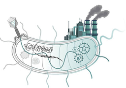 pPUTting recombinant protein expression in Pseudomonas