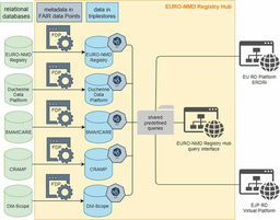 A European Rare Neuromuscular Diseases Registry Hub