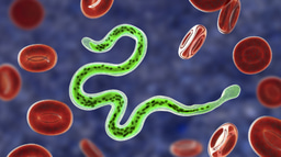 Call for papers: Molecular mechanism of host-parasite interactions