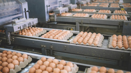 Call for papers: Egg production