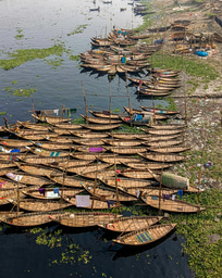 How Culture and Myths Shape Wildlife Conservation