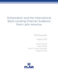 Documentos de trabajo | Dollarization and the International Bank Lending Channel | 2025