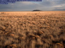 Tracking vegetation phenology with the PhenoCam network