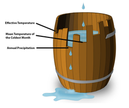 Understanding ancient human adaptations in silico