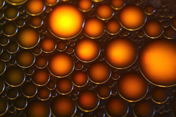 World Obesity Day - 4 March 2025