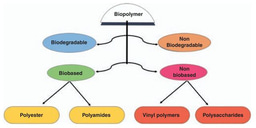 Introduction to Biopolymers, Their Blend, IPN s, Gel, Composites, and Nanocomposites