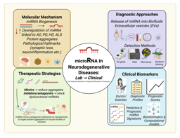 MicroRNAs in neurodegenerative diseases: from molecular mechanisms to clinical biomarkers, detection methods and therapeutic strategies—advances and challenges