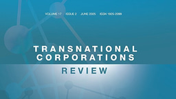 Looking under the carpet: A granular approach to the unusual productivity growth in Ireland