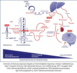 Mercury, the Gut, and Parkinson’s Disease—A Case Series from Thailand