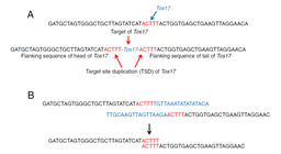 Detecting Transposable Element Insertions from NGS Data