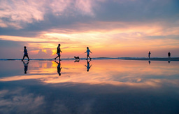 Prevalence of Oral Diseases and the Influence of the Presence of Overweight/Obesity in Schoolchildren Population in Mallorca