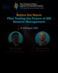 🌐 Webinar: Before the Storm — Pilot Testing the Future of EM Reserve Management