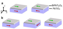 Design of a multifunctional polar metal via high-throughput structural screening