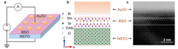 Atomic-scale ferroelectric tunnel junctions for future memories and computing devices