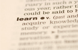 Research Outline: Exploring the Effect of Social Rewards in Enhancing Word Learning for Autistic Individuals