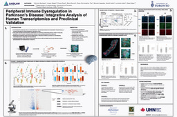 Research Poster: Peripheral Immune Dysregulation in PD: Integrative Analysis of Human Transcriptomics and Preclinical Validation