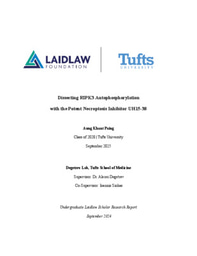 Research Report: Dissecting RIPK3 Autophosphorylation  with the Potent Necroptosis Inhibitor UH15-38