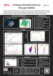 A Glimpse Of Euclid's Universe Through COSMOS