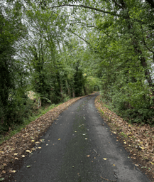 Switching Gears: The Impact of My Leadership-in-Action Project