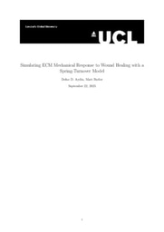 REPORT Simulating ECM Mechanical Response to Wound Healing with a Spring-Turnover Model