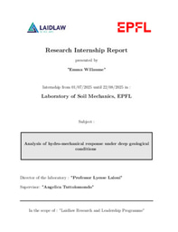 Research report: Analysis of hydro-mechanical response under deep geological conditions