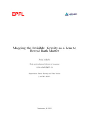 Mapping the invisible: Gravity as a Lens to Reveal Dark Matter