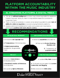 Spotify, Generative AI, and the Future of Cultural Labor: Visual Deliverable #2