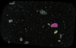 The course of research never does run smoothy!