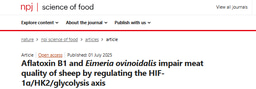 Aflatoxin B1 and Eimeria ovinoidalis impair meat quality of sheep by regulating the HIF-1ɑ/HK2/glycolysis axis