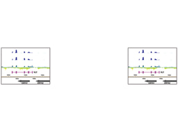 Old ideas and new technologies decode viral latency