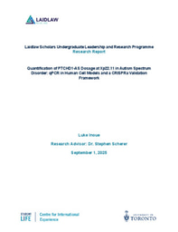 Summer Research Report