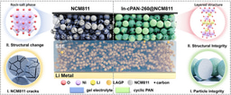 In Situ Partial‑Cyclized Polymerized Acrylonitrile‑Coated NCM811 Cathode for High‑Temperature≥100 °C Stable Solid‑State Lithium Metal Batteries
