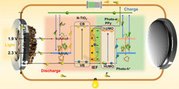 Ultrafast Sulfur Redox Dynamics Enabled by a PPy@N‑TiO2 Z‑Scheme Heterojunction Photoelectrode for Photo‑Assisted Lithium–Sulfur Batteries