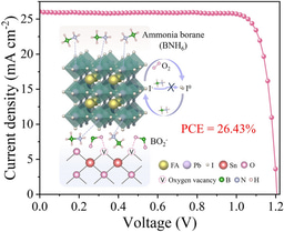 Ammonia Borane All‑In‑One Modification Strategy Enables High‑Performance Perovskite Solar Cells
