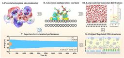 Multiscale Theoretical Calculations Empower Robust Electric Double Layer Toward Highly Reversible Zinc Anode