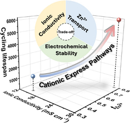 Water‑Restrained Hydrogel Electrolytes with Repulsion‑Driven Cationic Express Pathways for Durable Zinc‑Ion Batteries