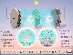 Anionically-Reinforced Nanocellulose Separator Enables Dual Suppression of Zinc Dendrites and Polyiodide Shuttle for Long-Cycle Zn-I2 Batteries