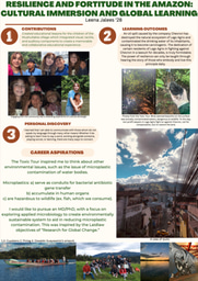 Resilience and fortitude in the amazon cultural immersion and global learning
