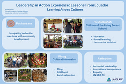 Leadership in Action Poster: Lessons from Ecuador