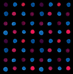 Aspiration-Assisted Bioprinting of Spheroids