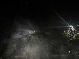 No Light, No Light”: Artificial Intelligence, Moral Authority, and the Ethics of Following in the Dark